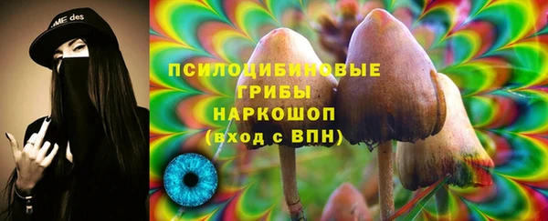 a pvp Алексин