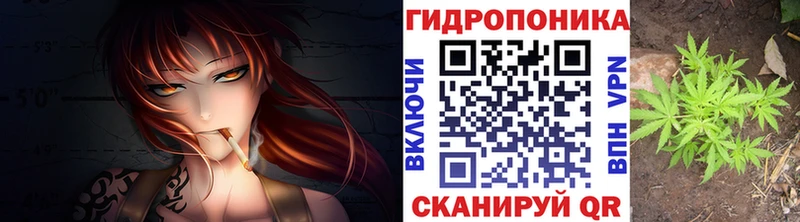 Конопля план  сколько стоит  Зуевка 